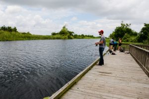 fishing in the bayou