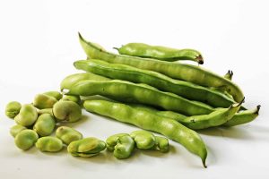 fava-beans-horiz-a-1200